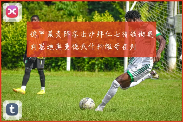 德甲最贵阵容出炉拜仁七将领衔奥利塞迪奥曼德武什科维奇在列